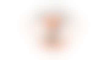 Puss n' Pooch Safe Retreat (PPSR)