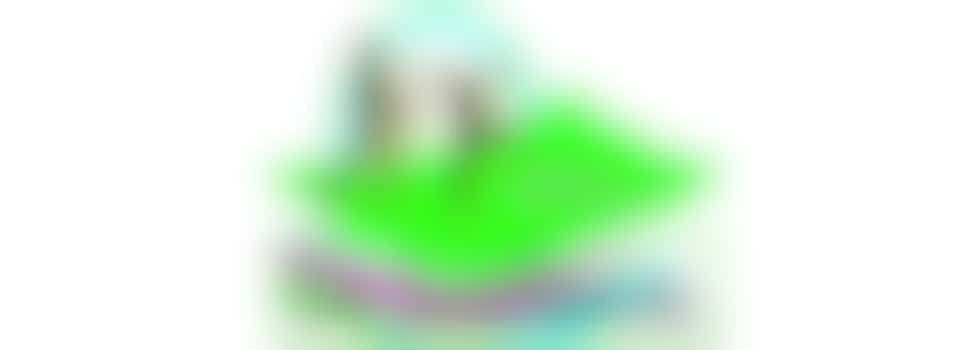 Vrijwilliger nascholing basisschool