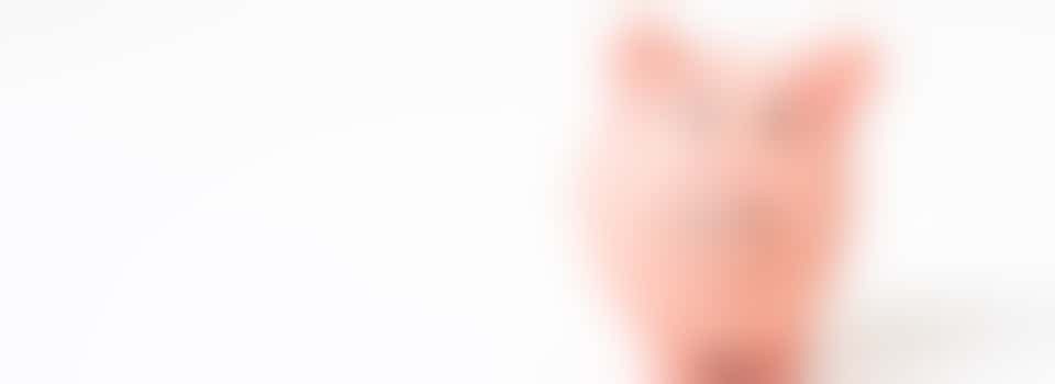 Mendip Community Credit Union