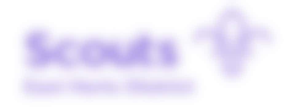 District Lead Volunteer