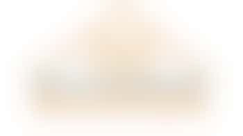 Stichting Vechtsnoer