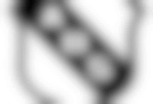 Voetbaltrainer - Voetballeider