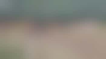 Open dag manege Lis Hartel