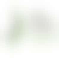 Helen Dowling Instituut