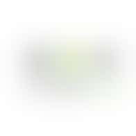 Thomashuis Maartensdijk