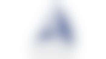 Stichting Sailability Wijdemeren