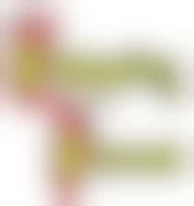 'Independent Person' / Accountant needed by charity