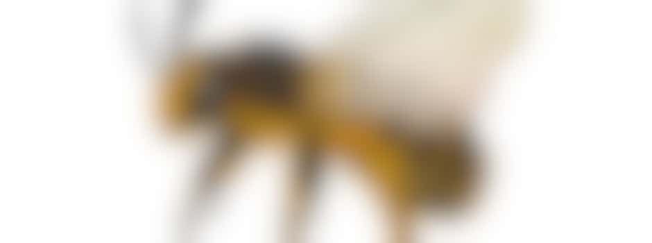 Coördinator promotie /merchandising