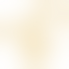 Family Volunteering Day