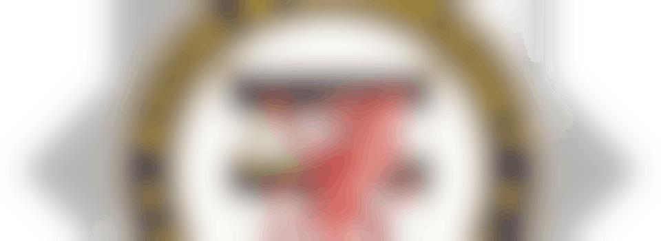 Volunteer Police Cadet Leaders