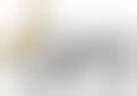 scholenbezoeker met of zonder functionele beperking