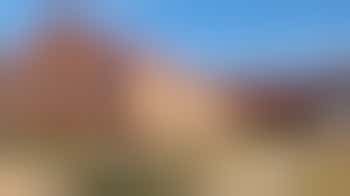 WEDNESDAY Administration Volunteer