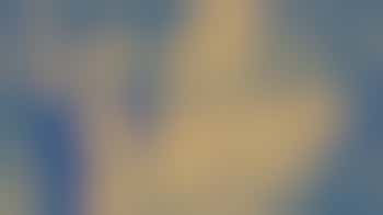 Adviceline Triage Volunteer