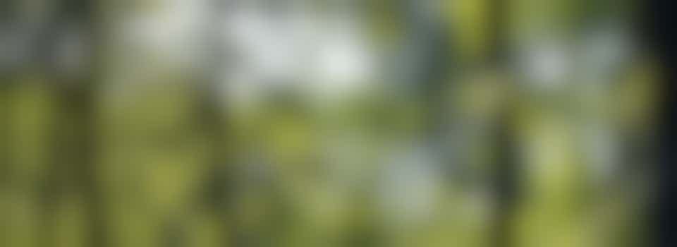 Eigen stage: O.a. gastvrouw