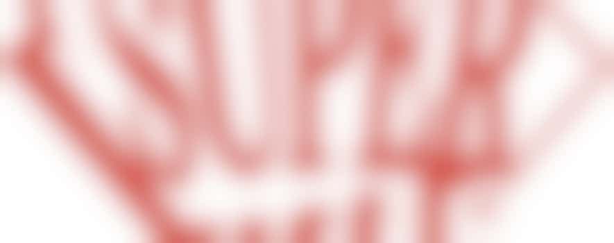 Weston Super Half Volunteer