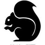 Black Squirrel Credit Union Limited