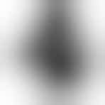 General Credit Union opportunities