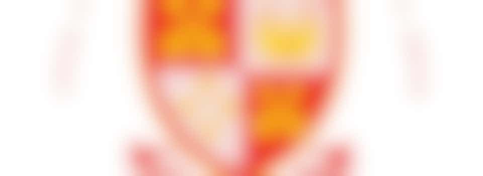 Senior Mens First Aider