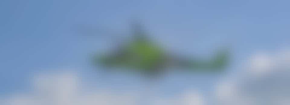 Volunteer shop assistant