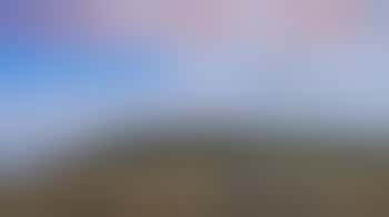 We are looking for a New Trustee with Financial Background