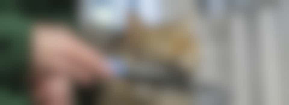 Woodgreen Pets Charity