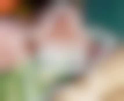 Vrijwilliger Sorteren voedselpakketten