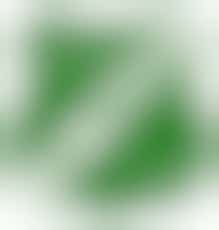 Eigen stage: training geven