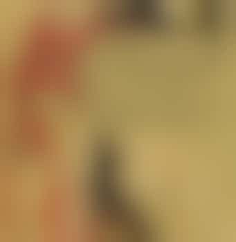 Eigen stage: Dierenarts assistente