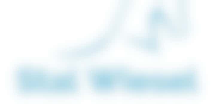 Eigen stage: Helpen met de paarden