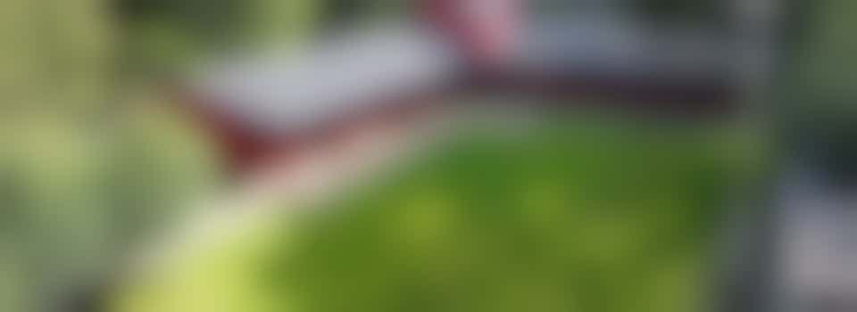 Eigen stage: Helpen bij activiteiten