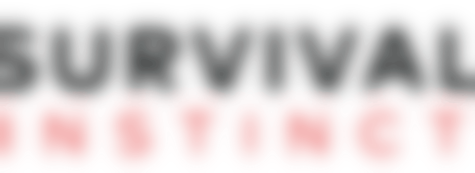 Eigen stage: Spelletjes met leerlingen