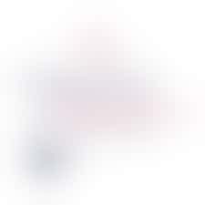 Eigen stage: meehelpen met activiteiten