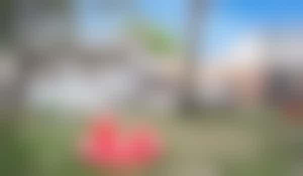 Eigen stage: helpen bij kleine kinderen