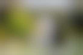 Projectweek 20: Onderhoud tuinen