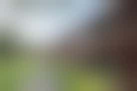 Eigen stage: ouderen helpen