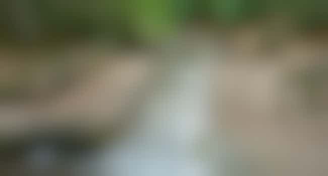 Eigen stage: Activiteiten begeleiden