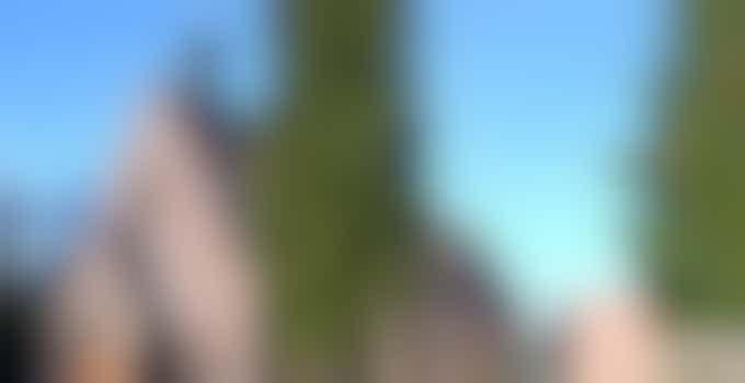 Eigen stage: Begeleiden van activiteiten