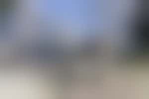 Eigen stage: Ondersteunen in de klas