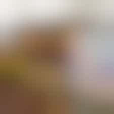 Eigen stage: ondersteuning school