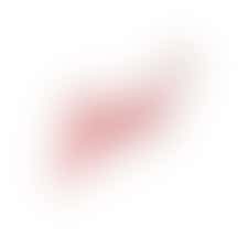 Eigen stage: helpen training geven aan de pupillen