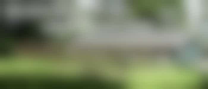 Eigen Stage: ondersteunen medewerkers dierenpension Beemte