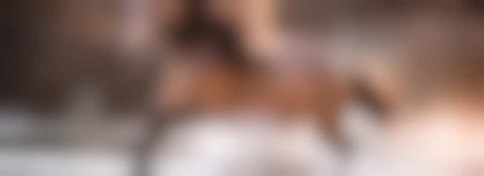 Eigen stage: werken op stal