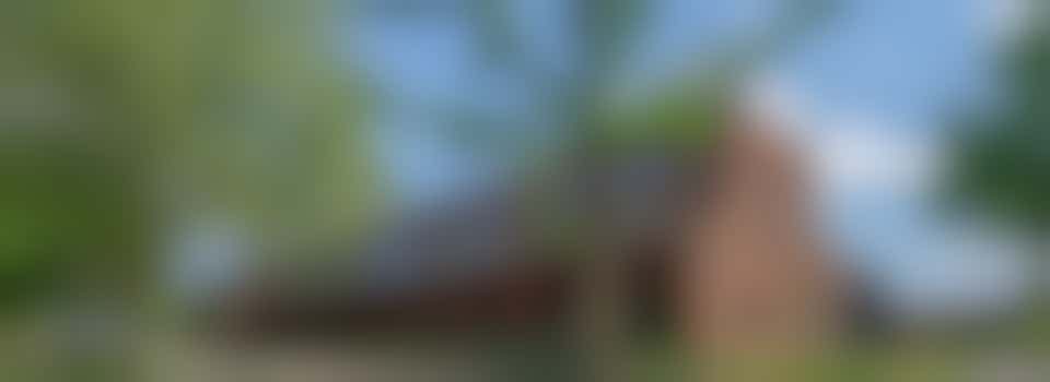 Eigen stage: helpen op school