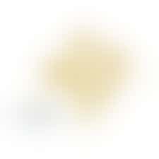 Eigen stage: ondersteuning opvang asielzoekers