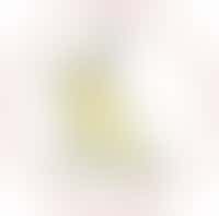 Watford Social Centre for the Blind