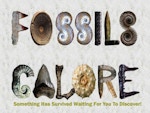Fossils Galore