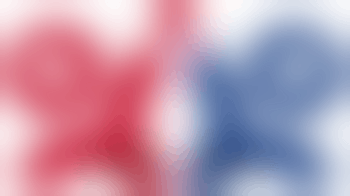 Stichting Vluchtelingen Werkintegratie