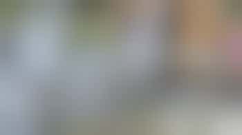 Meehelpen met diverse werkzaamheden bij Dierense Speeltuin Vereniging