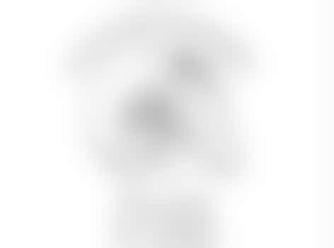 Eigen stage: Ringmeester tijdens wedstrijd