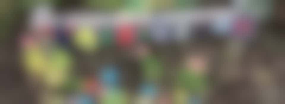 Fairview School - Community Link Worker